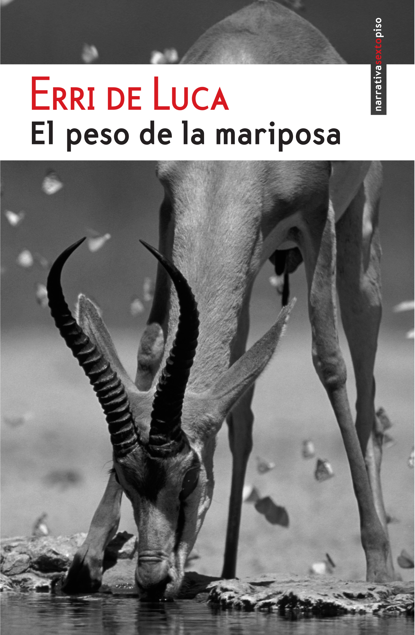 el-peso-de-la-mariposa